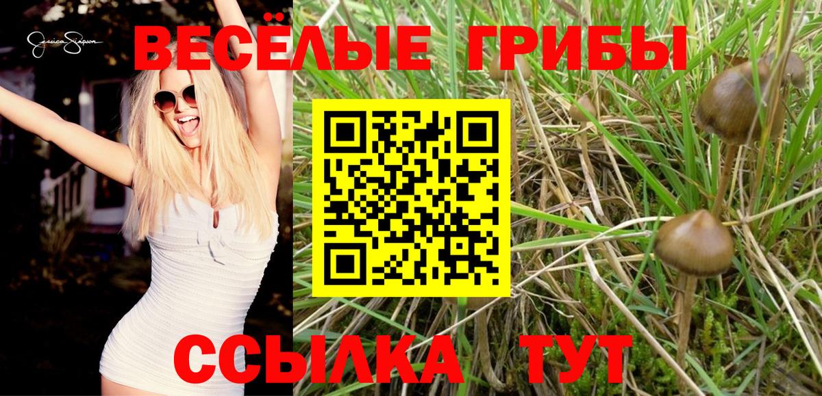 Псилоцибиновые грибы мицелий  Галлюциногенные грибы Cubensis  Вход с VPN  Приморско-Ахтарск 